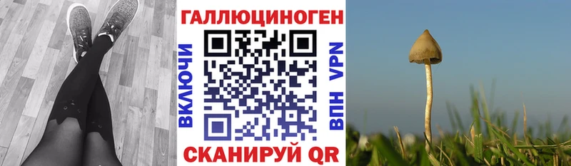 Галлюциногенные грибы мицелий  Белоярский 